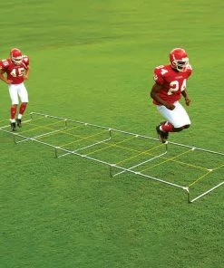 Top 10 🤩 Fisher 30' Agility Master High Step Trainer, AM30 👏